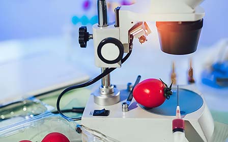 转基因食品检测